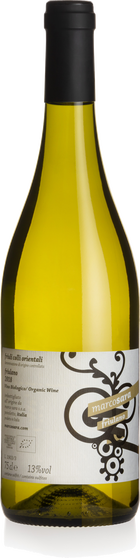 Friulano 2019 Friulano