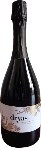 Spumante di Fiano Brut Metodo Classico 60 mesi 2016 Spumante di Fiano Brut Metodo Classico 60 mesi