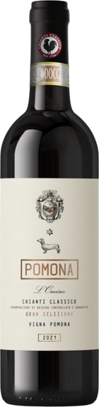 Chianti Classico Gran Selezione L'Omino