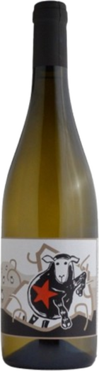Vino bianco Saltatempo