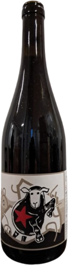 Vino rosso Saltatempo