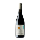 Casa e Chiesa Merlot Colline Lucchesi DOC
