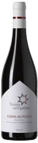 Rosso Piceno Doc Casal del Piano