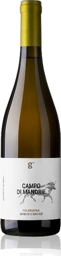 Falanghina Beneventano IGP Campo di Mandrie 2017 Falanghina Beneventano IGP Campo di Mandrie