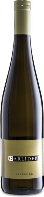 Sylvaner Bio Igt 2021 Sylvaner Bio Igt